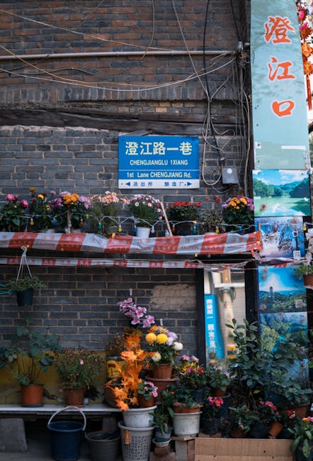 磁器口古镇