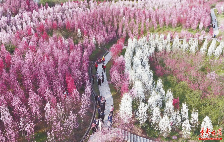常德城市天际线