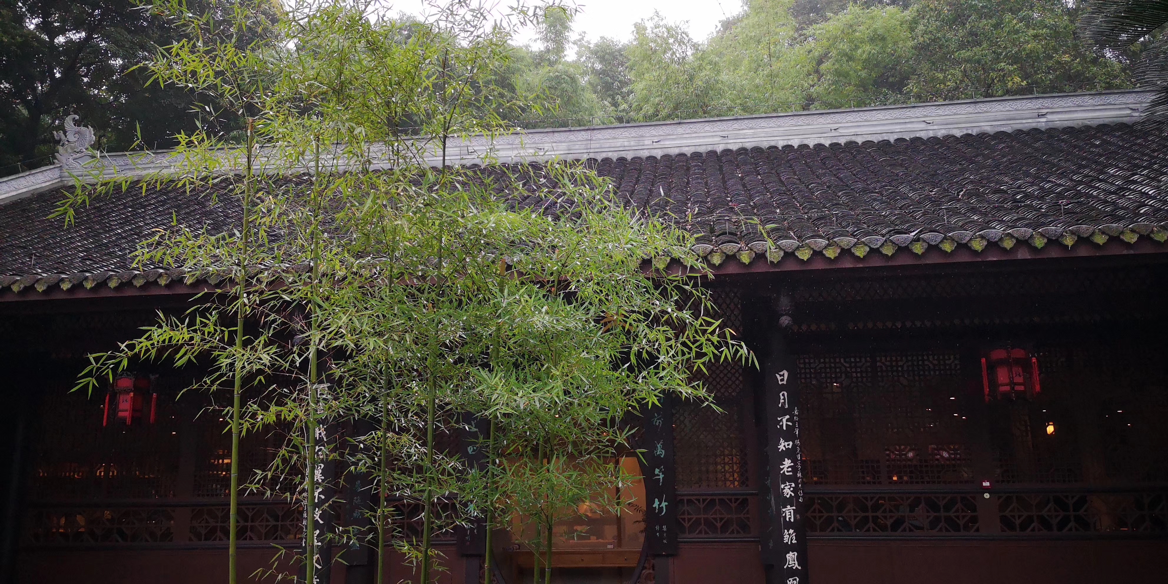 眉山城市天际线